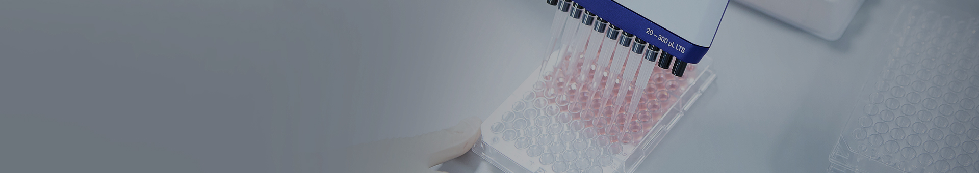 differential pressure transmitter supplier